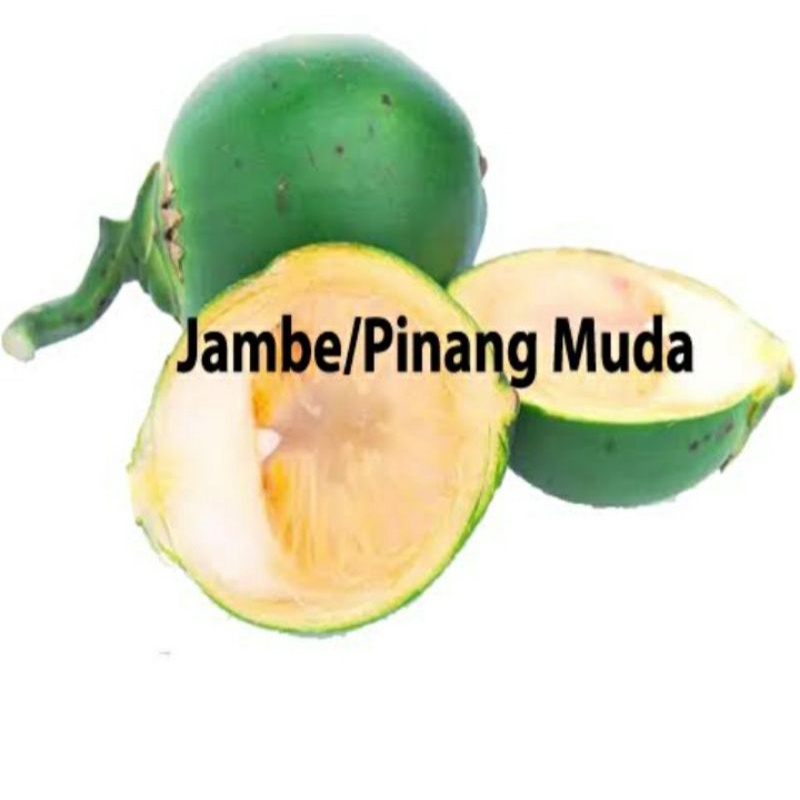 

JAMBE PINANG MUDA