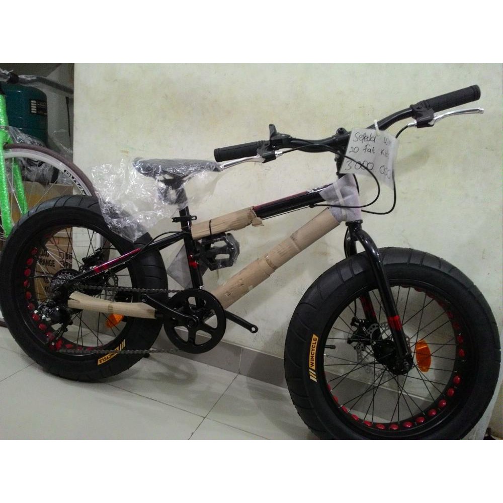 Keren Sepeda  Kumbang Polygon Ginger Snap