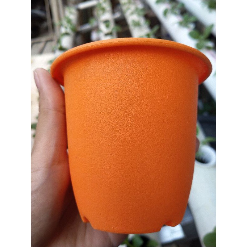 Pot Kaktus NKT 10 Biru Orange Hijau Kuning dll Pot Plastik Hijau Bibit Kaktus Orange