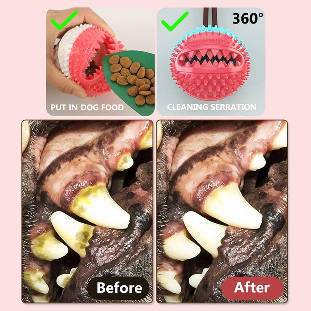 Self Tooth brush Molar Bite Treats ball