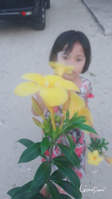 Limited Stock Batik Anak Best Seller