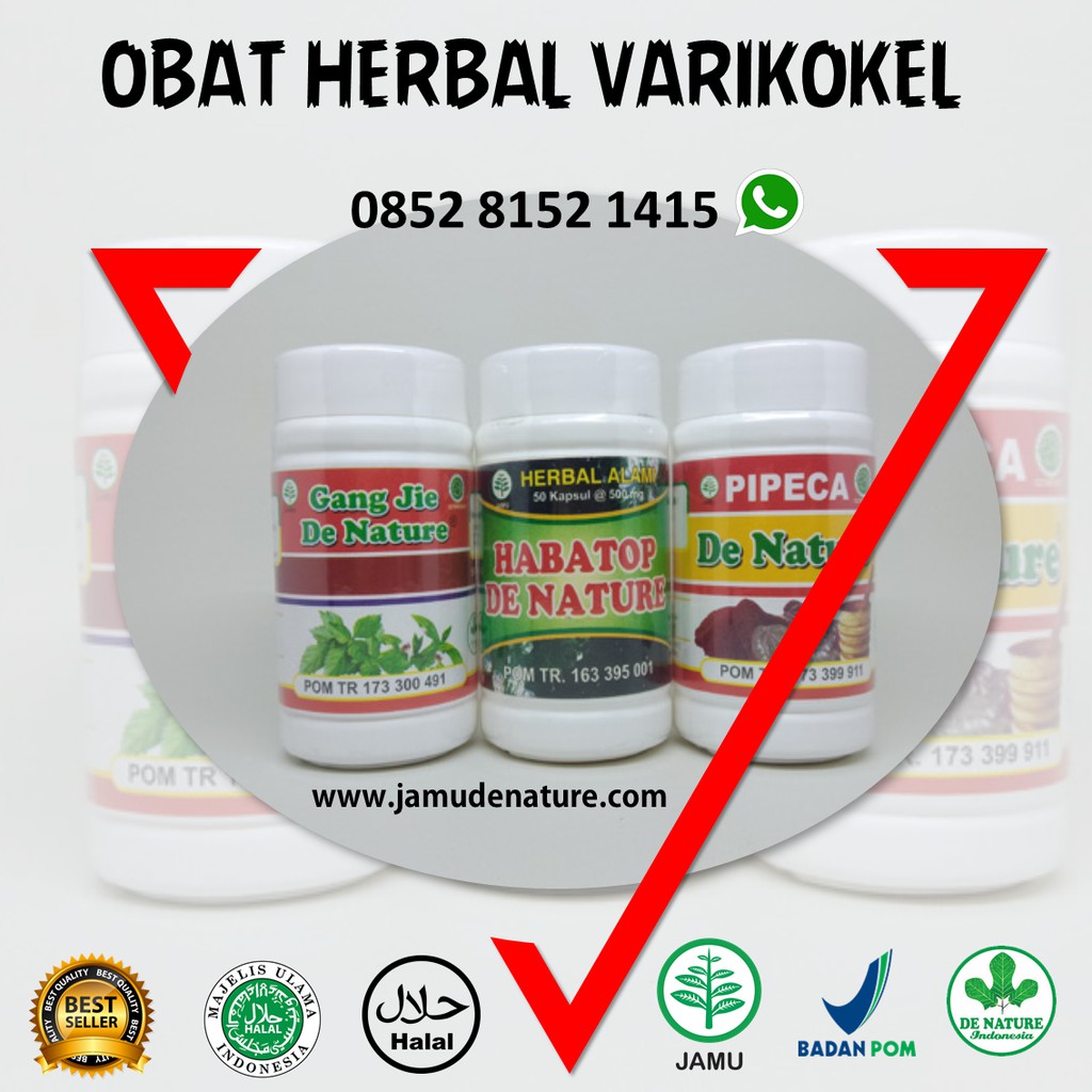 Obat Varikokel Secara Herbal