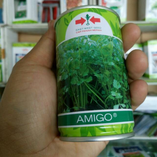 Seledri Amigo isi 50gr kemasan kaleng