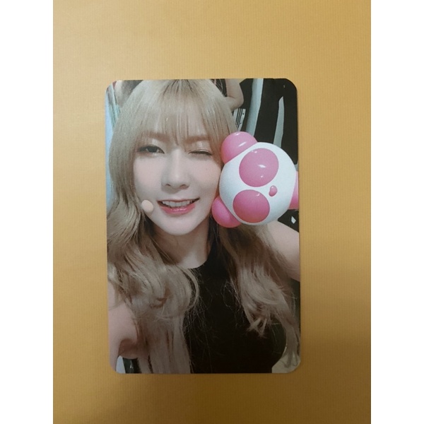 APINK PHOTOCARD PANDABONG