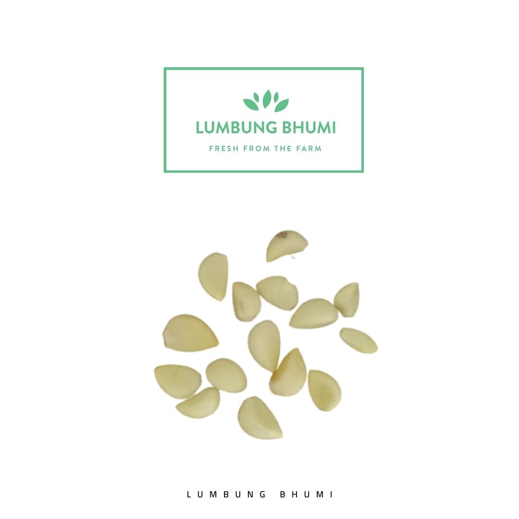 

Lumbung Bhumi - Bawang Kating KUPAS 100 Gr ( Sayur Curah )