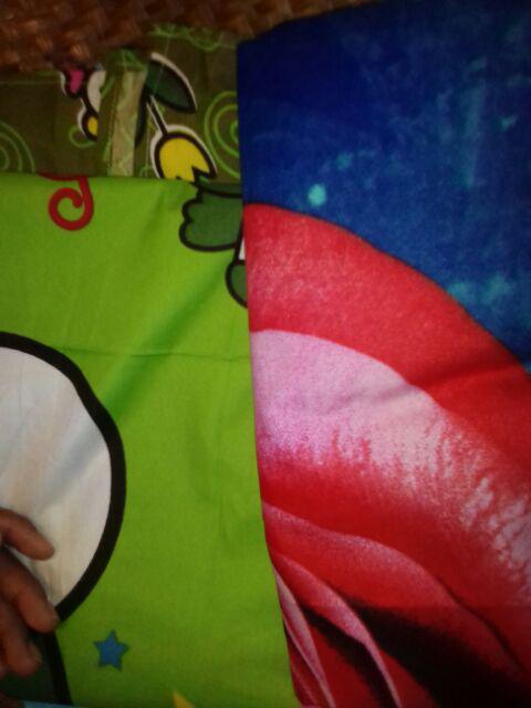 Gorden/korden/horden Pintu Dan Jendela Murah Blue Rosefly