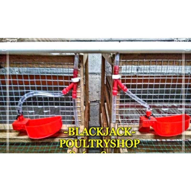 TEMPAT MINUM PUYUH OTOMATIS NIPPLE PUYUH MERAH NIPEL TERLARIS