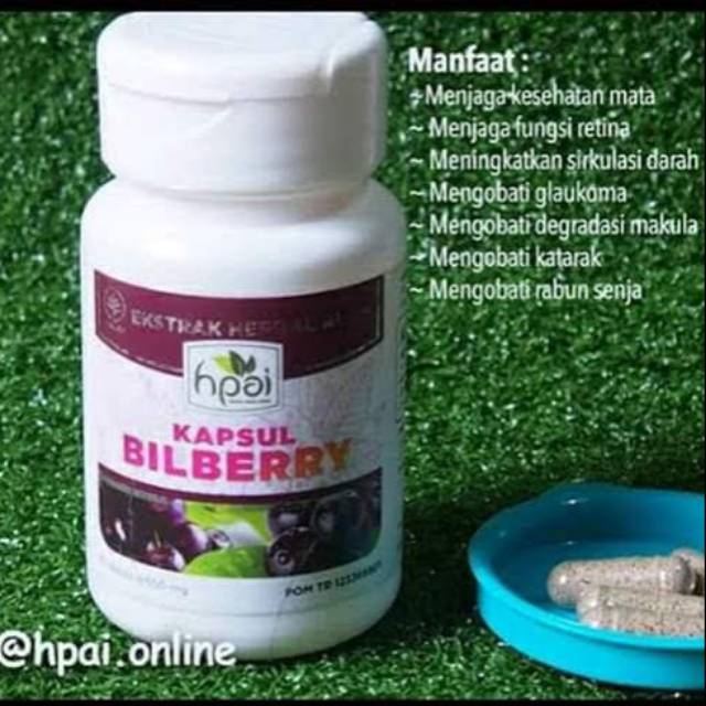 BILBERRY/OBAT KATARAK/GLUCOMA/OBAT MATA