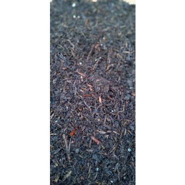 media tanam fermentasi