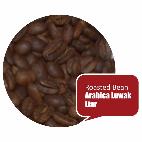 

Kopi Arabica Luwak Gayo/Luwak Liar Gayo Roast Bean