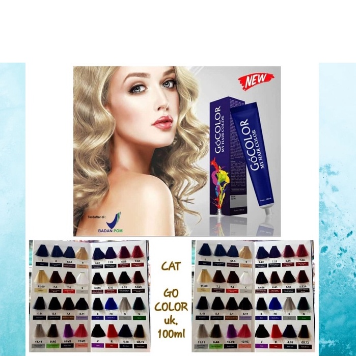 GO COLOR / GOCOLOR CAT RAMBUT  / HAIR COLOR CREAM 100 ML