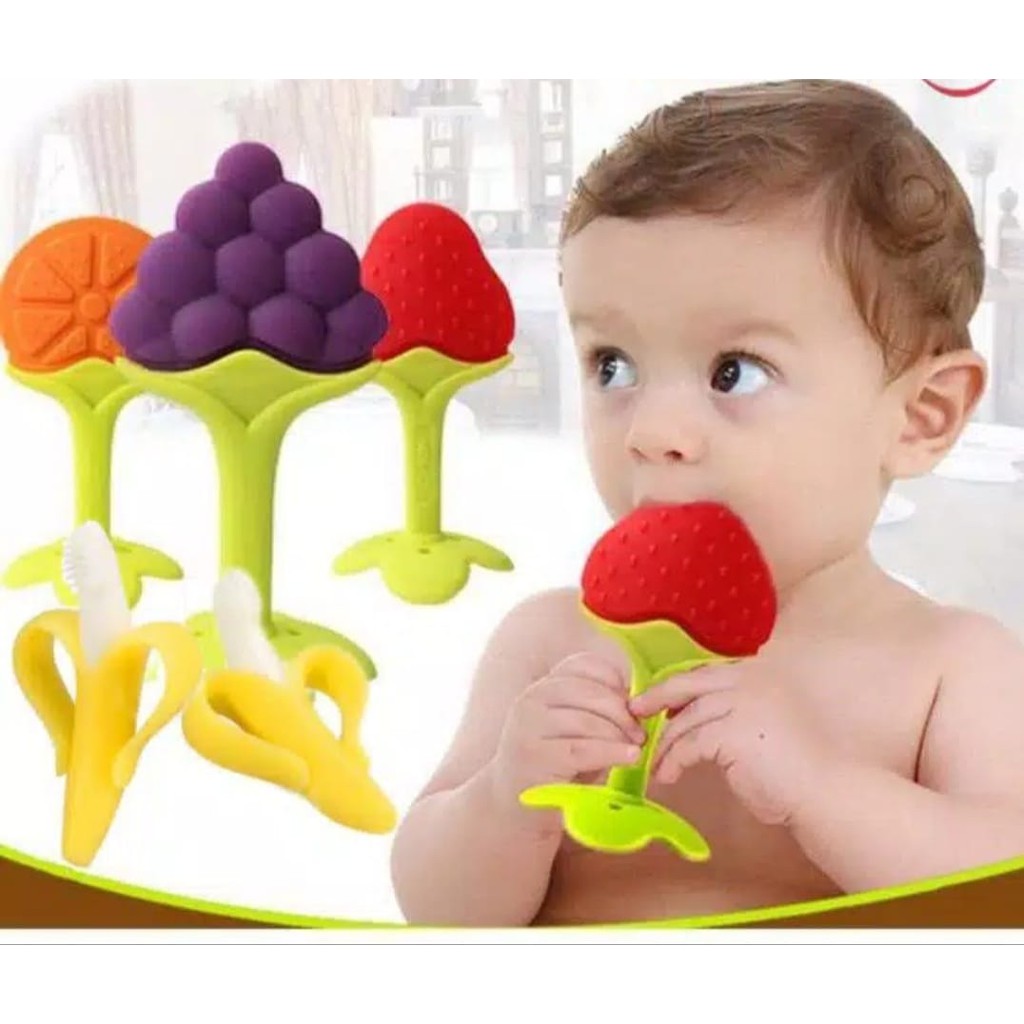 Baby Fruit Teether Silicone Gigitan Bayi Buah Silikon R-02