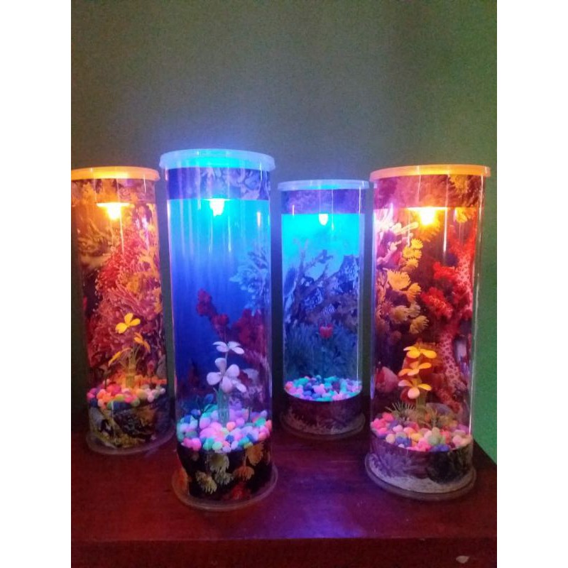 AQUARIUM MINI BUAT IKAN CUPANG