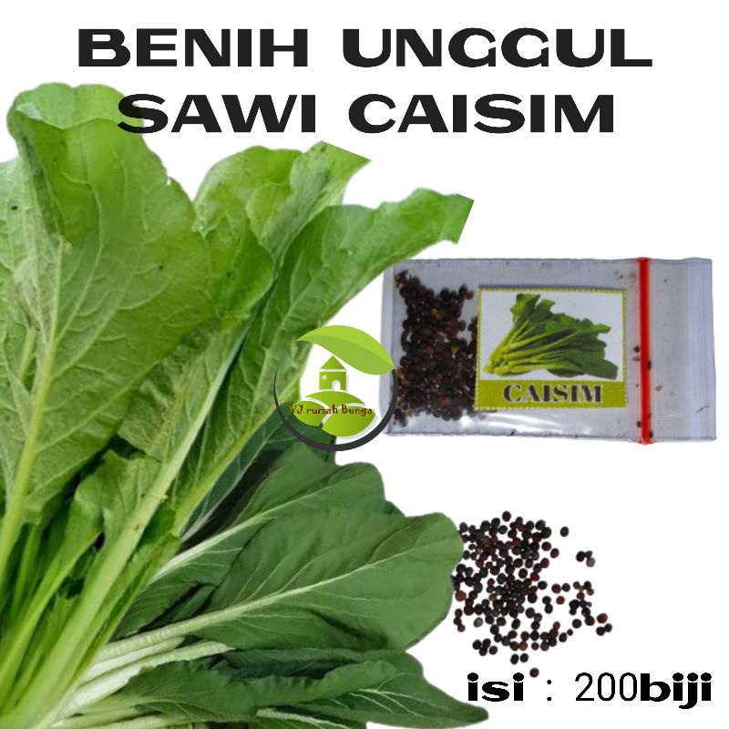 200Biji - Benih Bibit Sawi Hijau Caisim Unggul Benih Sayuran Sawi Hijau Cesim