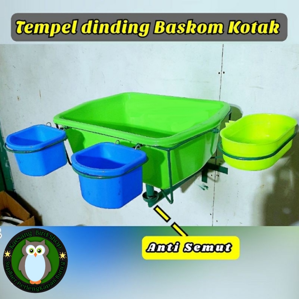 TEMPAT PAKAN TERNAK MURAI TEMPEL KOTAK