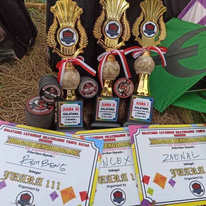 Gelasan Brotherhood Pro-1000 Black Power