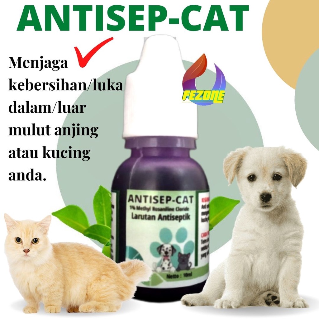 Obat Kucing Anjing Sariawan Bau Luka Mulut Terbukti Ampuh FEZONE