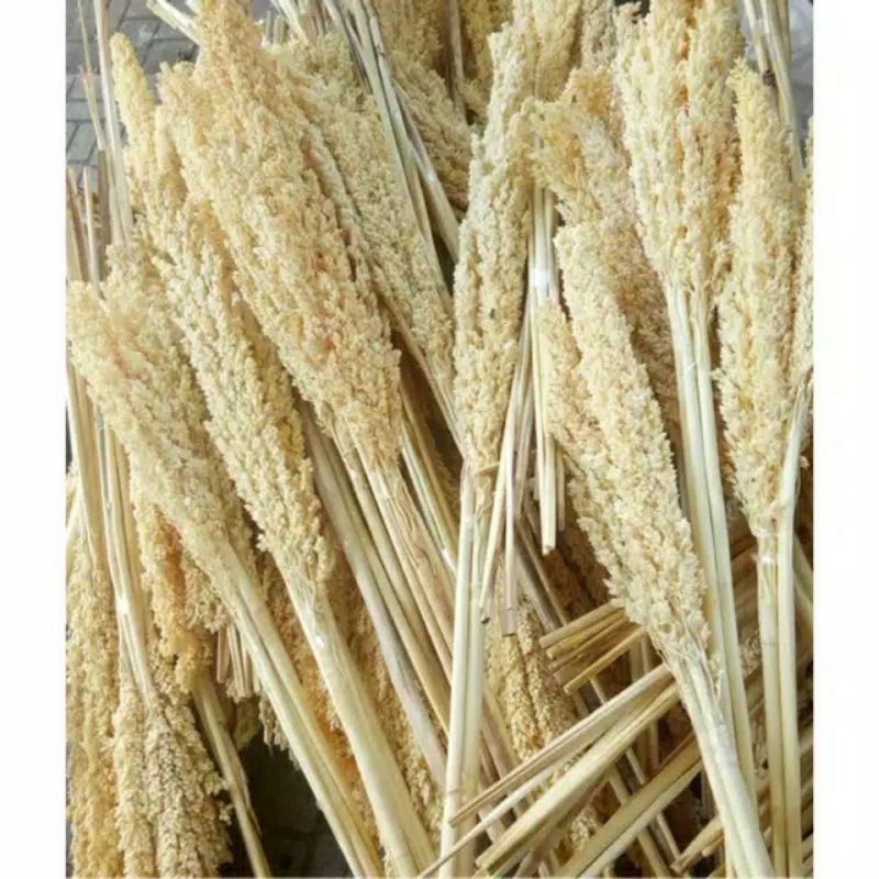 

Bunga rustic cantel