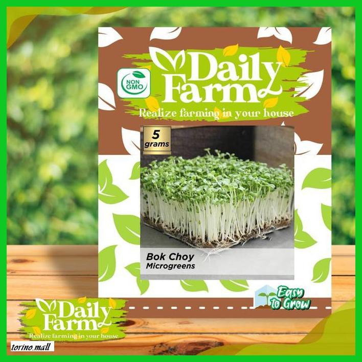 

Nainatrepukub- Benih Microgreen Bok Coy - Daily Farm -Ukub.