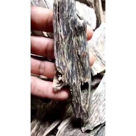 Kayu Gaharu Kalimantan AB super asli alami GKABS01