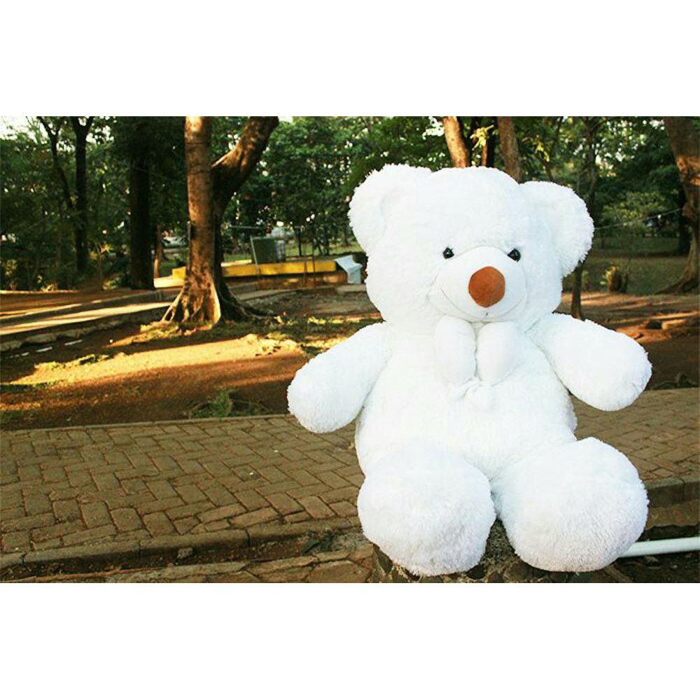 boneka beruang teddy bear putih jumbo Termurah