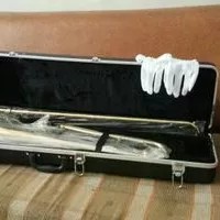 Trombone Alto Gold Ostrava Trombone slide (recommended)