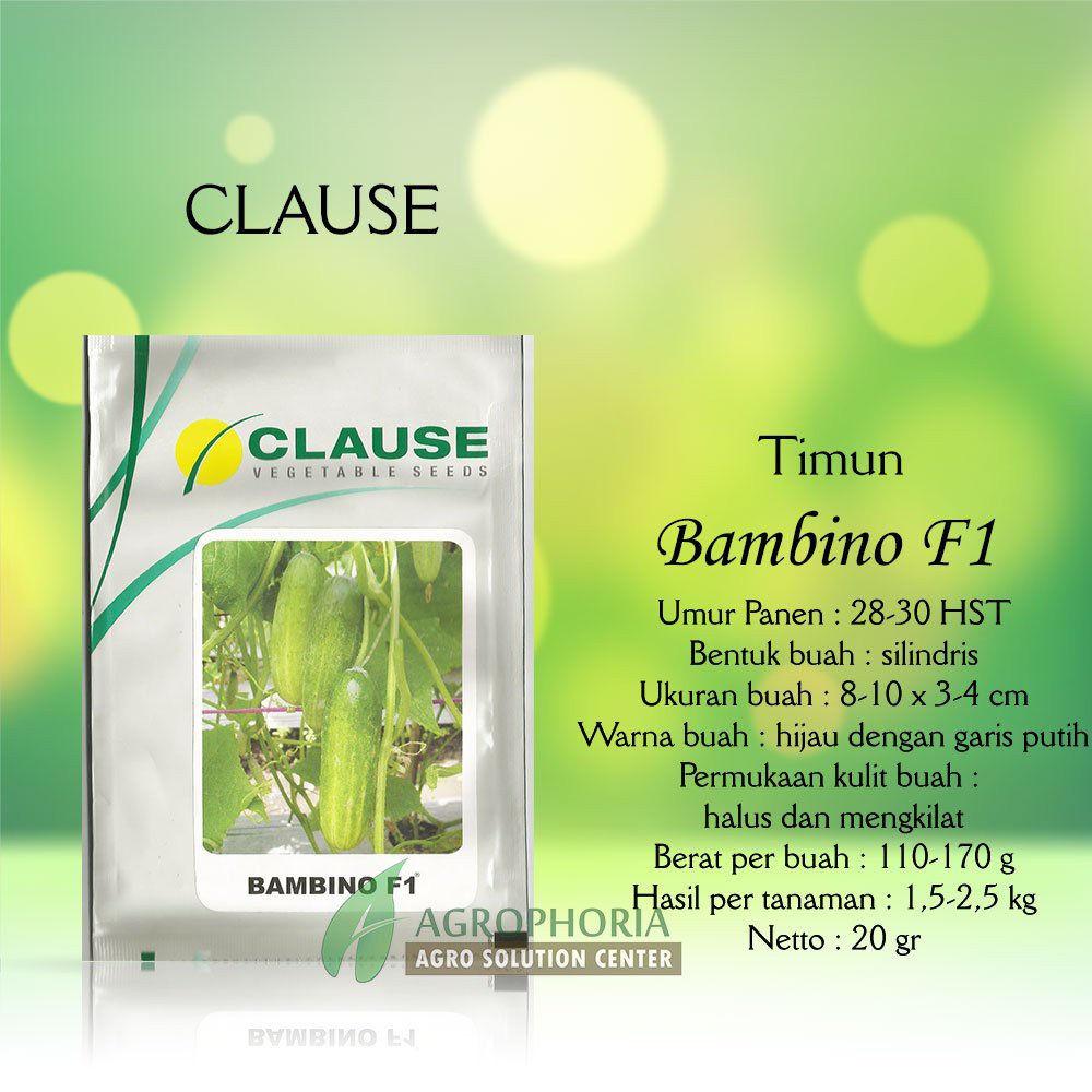 Benih Timun Bambino 20 Gram - Clause Berkualitas