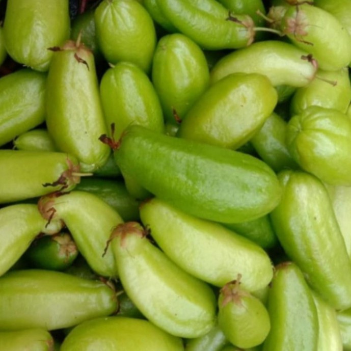 

Belimbing Wuluh Fresh 1Kg