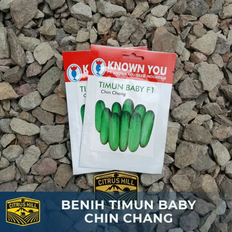 Benih Timun Baby Chin Chang Known You Seed SP
