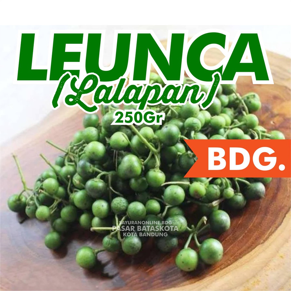 

LEUNCA / LENCA / RANTI / LALAPAN SAYURAN SEGAR FRESH SAYUR ONLINE BATASKOTA BANDUNG