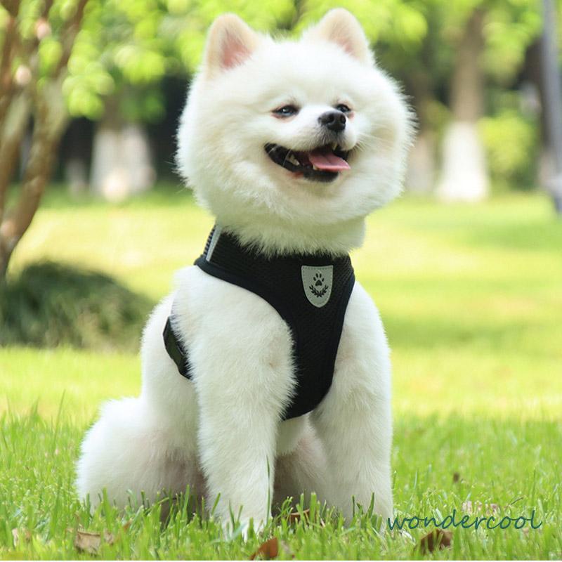 Pet Chest Back Leash Mesh Strip Reflektif Crossing Road Perlengkapan Hewan Peliharaan tahan aus-Won