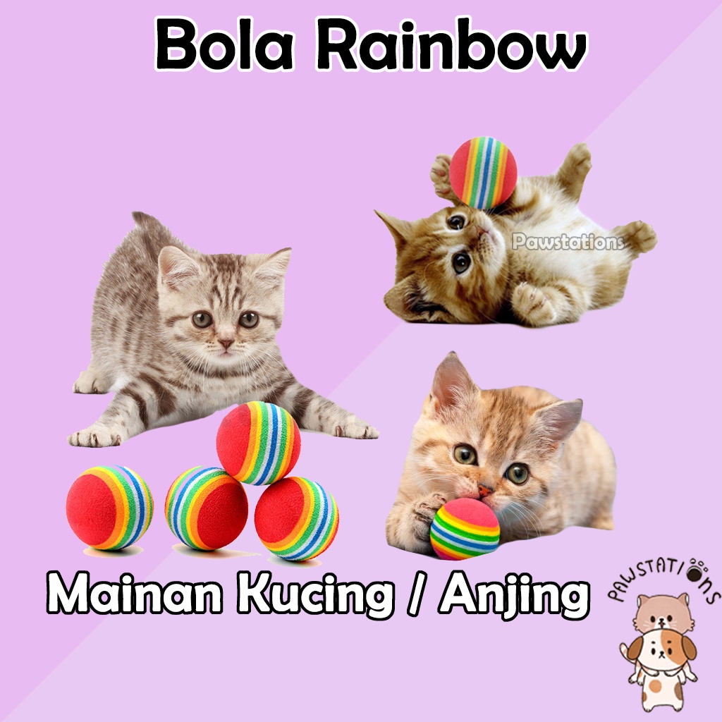 Bola Mainan Kucing Bola Mainan Anjing Bola Rainbow Bolhttps://seller.shopee.co.id/portal/producta Pelangi Bola Warna Warni Mainan Anak Kucing