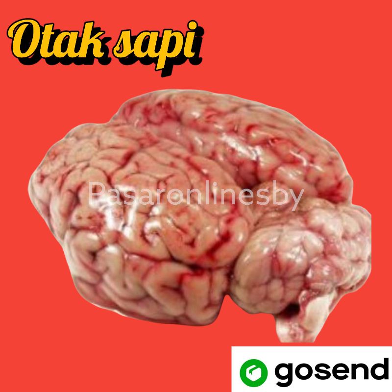 

PASAR GUBENG - Otak Sapi - Per Biji