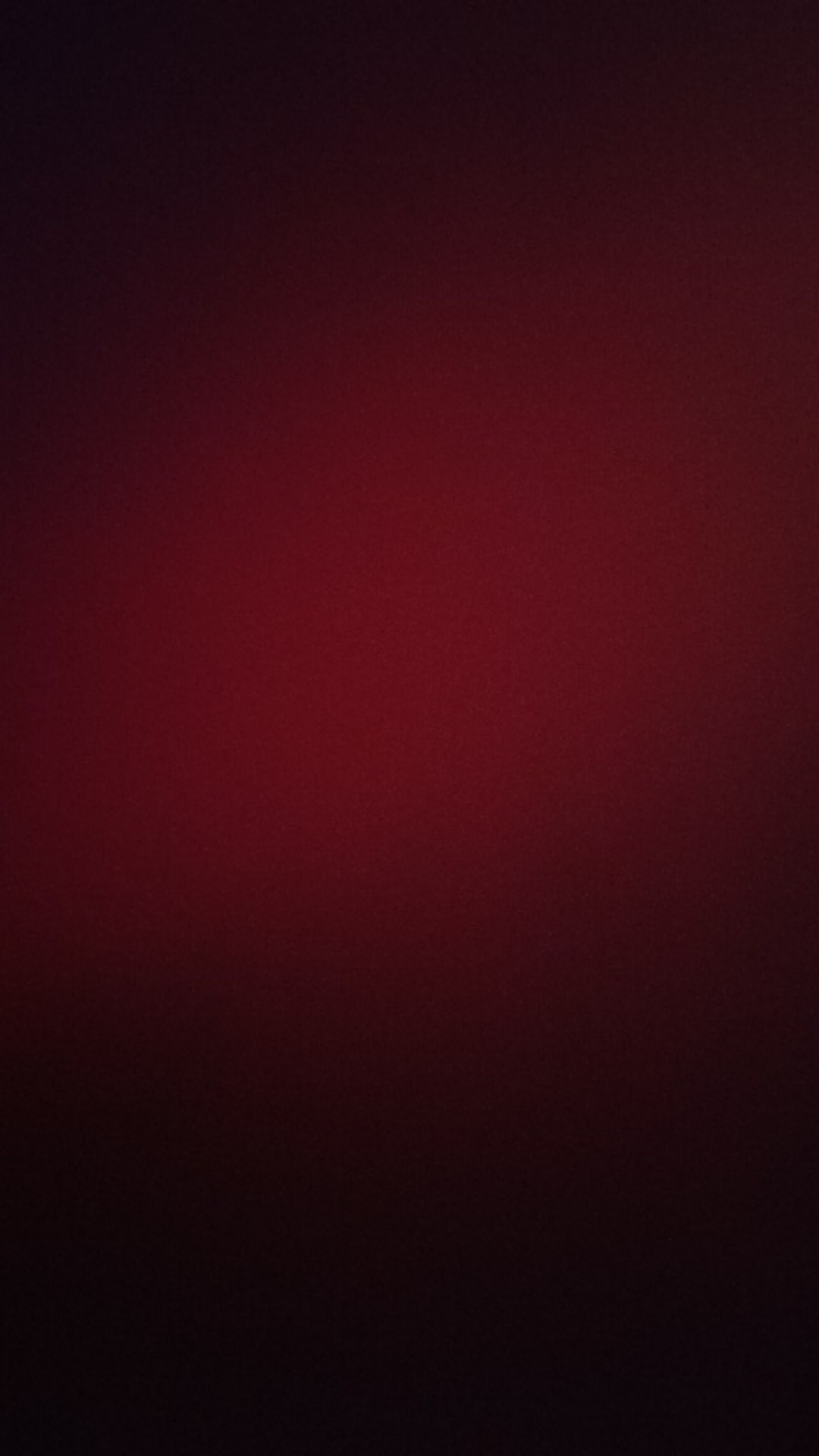 Golden Rim Seashell Plate Tray