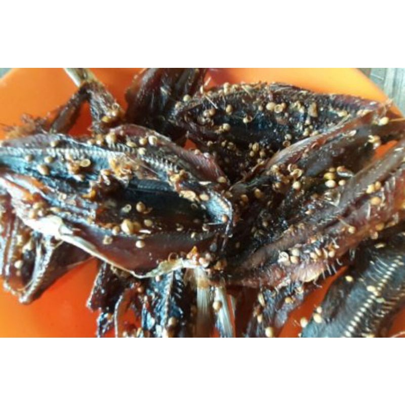 

Dendeng ikan (ikan japuh) Manis dan gurih.