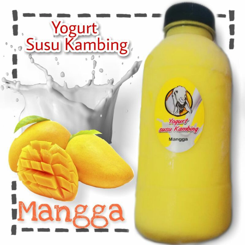 

yogurt susu kambing