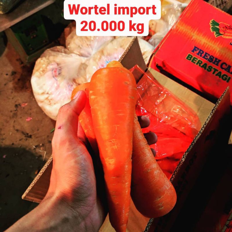 

wortel impor 1kg