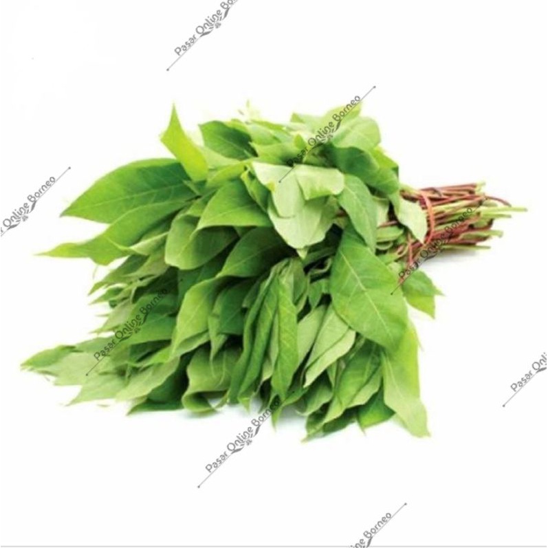 

Sayur Segar Daun Singkong Per ikat
