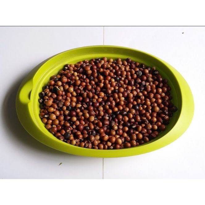 

BIJI KECIPIR 1 KG - BENIH KECIPIR - Psophocarpus Tetragonolobus