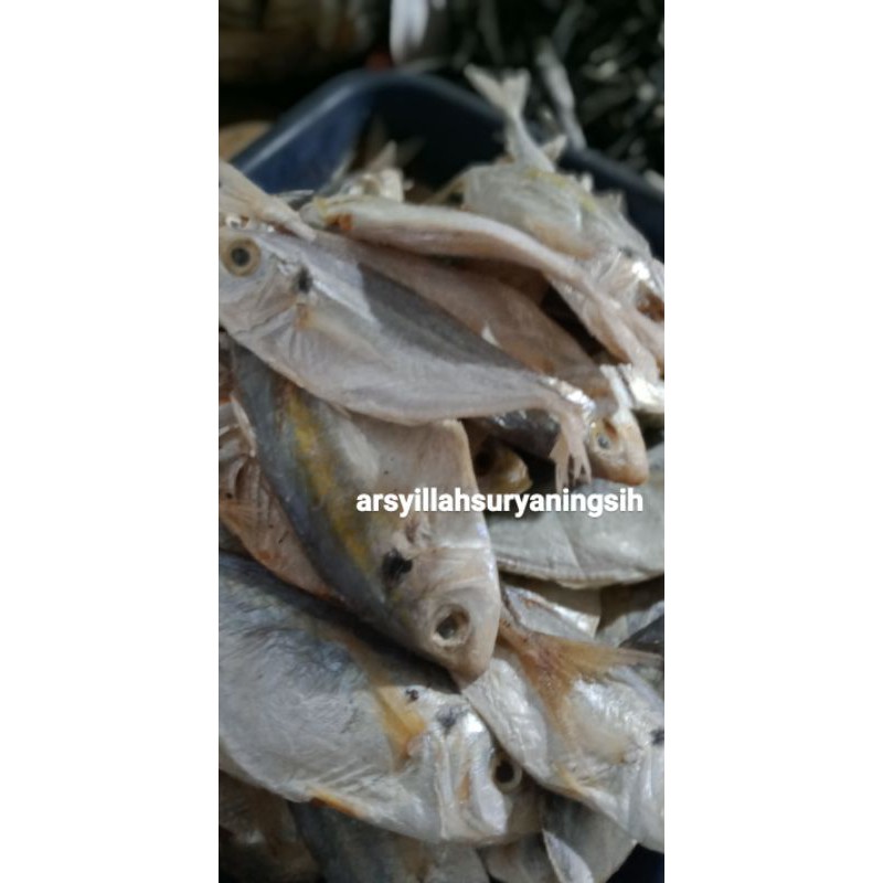 

IKAN ASIN SELAR 500gram