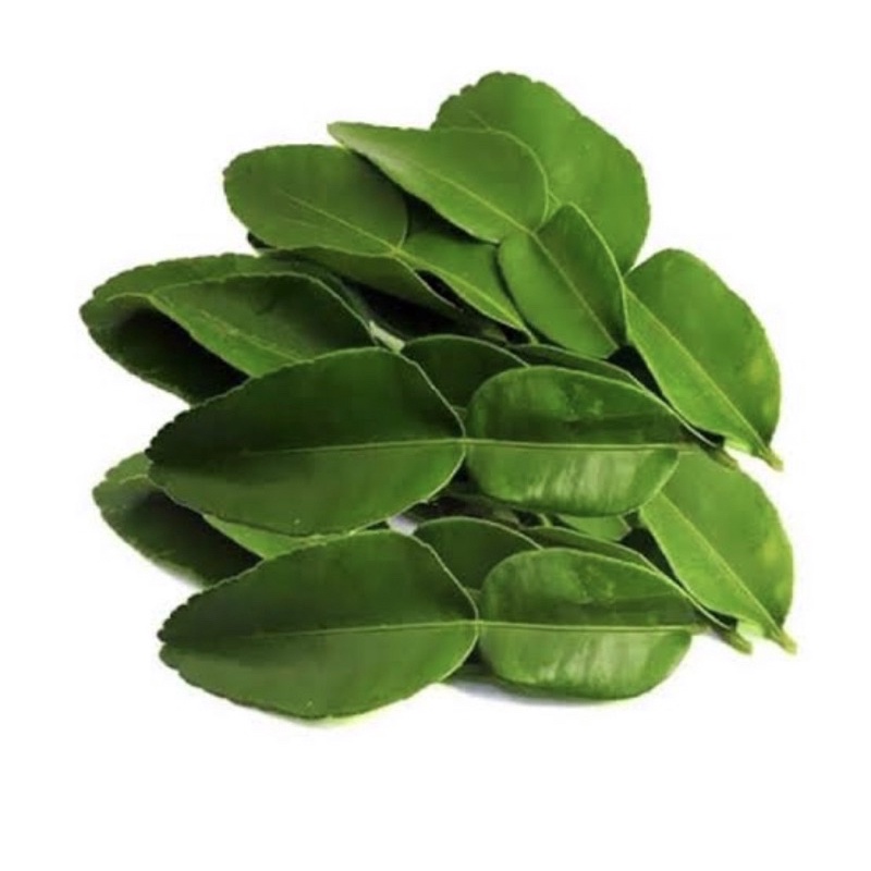 

Daun jeruk angka delapan