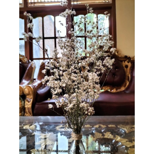 Baby Breath kering natural/Dried baby Breath lokal