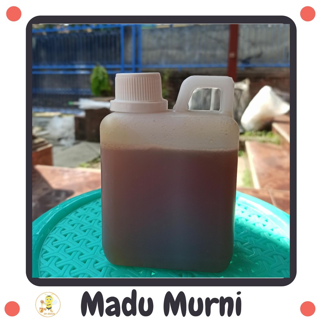 

[500ml] Madu Murni Madu Hutan Madu Asli Pure Honey Hutan Blora Asli