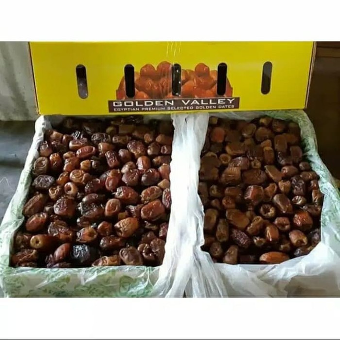 

Kurma Mesir Golden valley/GizaAlwadi Dates 5kg