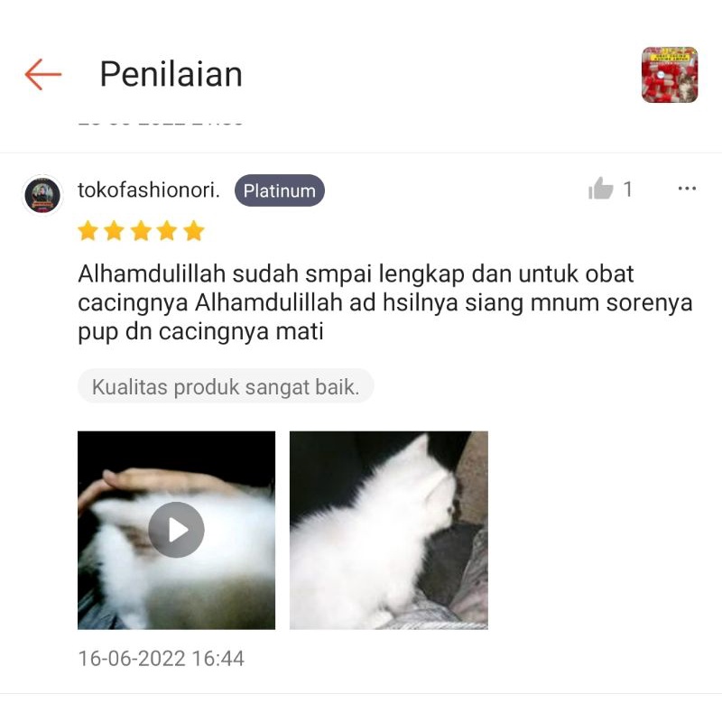 1 KAPSUL OBAT CACING KUCING SUPER AMPUH FEFARM