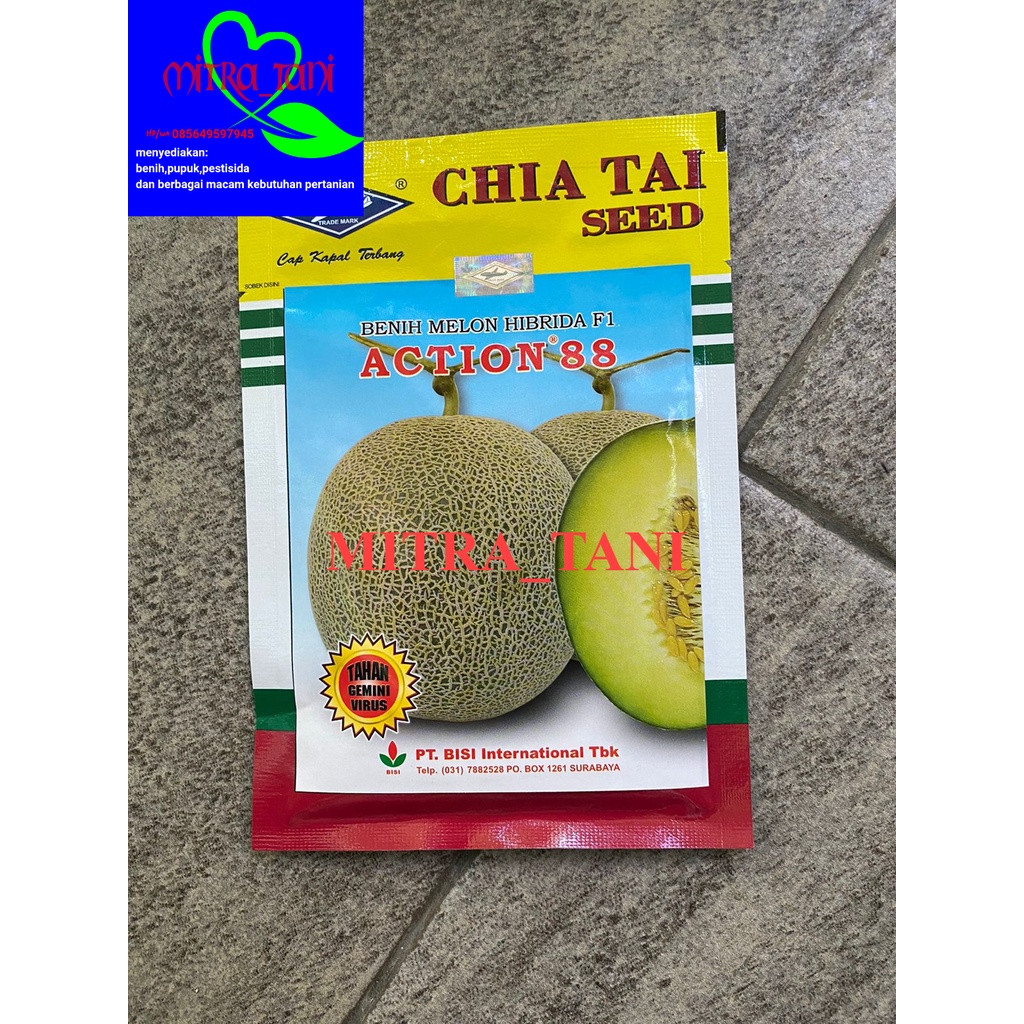 benih melon hibrida ACTION 88 isi -+550butir dari CAP KAPAL TERBANG
