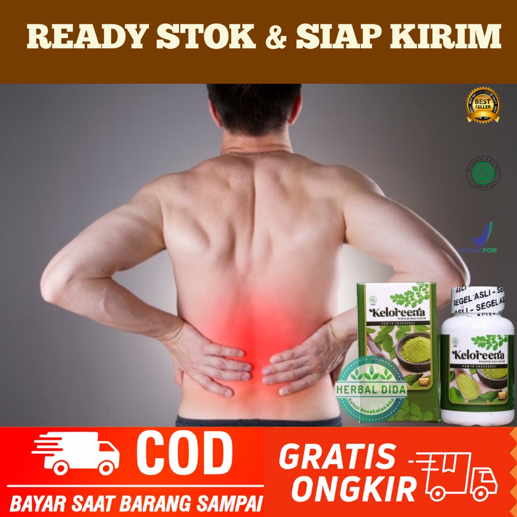 Obat sakit Otot punggung, Obat Herbal Pereda Nyeri Otot Punggung, Obat Herbal Meredakan Nyeri Otot P