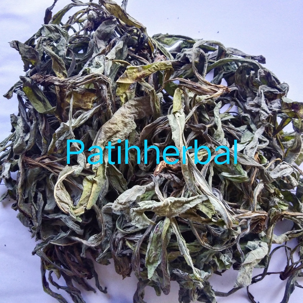 

Daun Tempuyung Daun Lempung Daun camawak Kering 100 gram