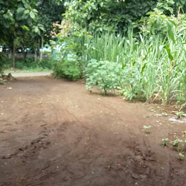 (1kg=4pcs) Kemeja Batik Lengan Panjang Batik Ori Nareswari Hong Sogan Batik Solo Seragam Batik