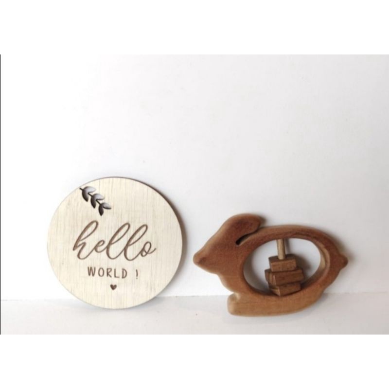 Hello world wooden plaque|foto instagramable baby newborn